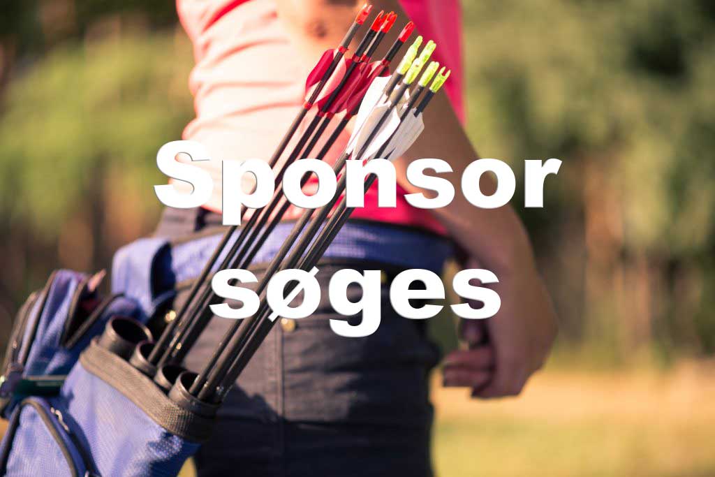 Sponsor søges